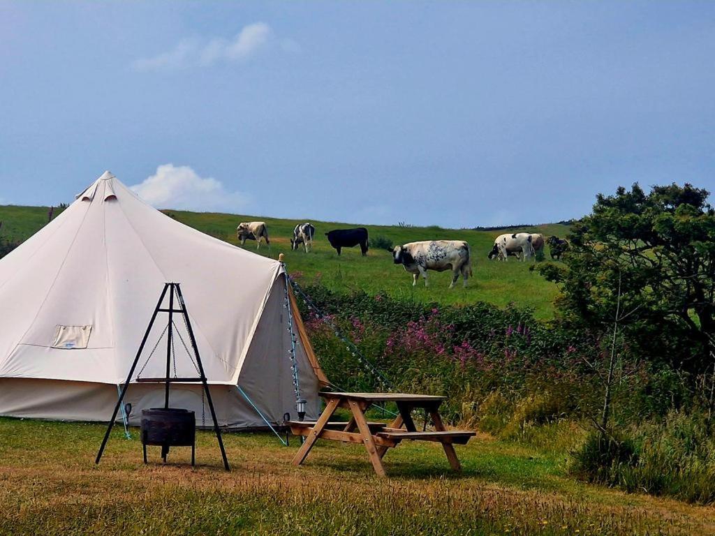 Beautiful 1-Bed Bell Tent In ホーリーヘッド エクステリア 写真